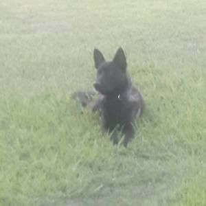 Meet your Posher, Lexi